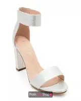 Silver Shimmer